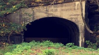 The surprising biodiversity of abandoned coal mines