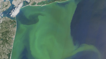 Supreme Court curbs ability to clean up environmental disasters
